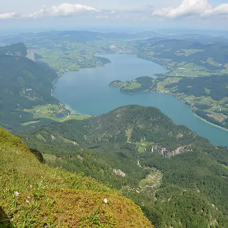 Weisse Urlauben Am Wolfgangsee *