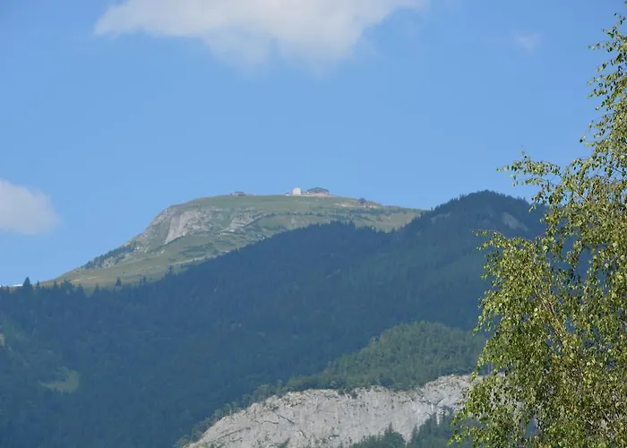 Daire Weisse Urlauben Am Wolfgangsee Sankt Gilgen