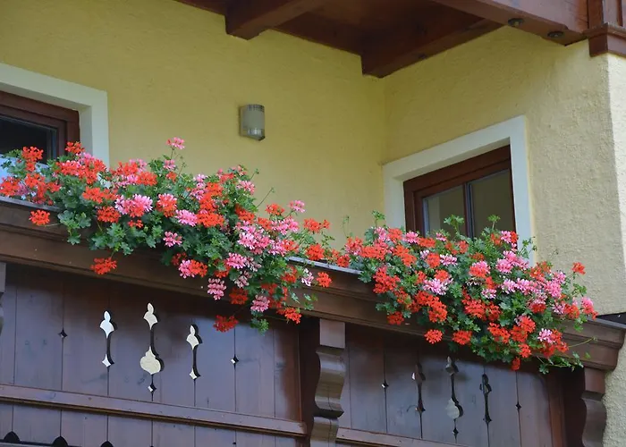 Daire Weisse Urlauben Am Wolfgangsee *